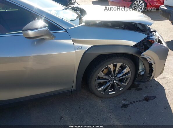 JTHU9JBH1K2011871 2019 LEXUS UX 250H Gray Widok z przodu