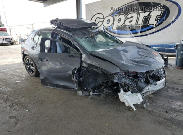 JTHX6JBH2P2133006 2023 LEXUS UX Серый 