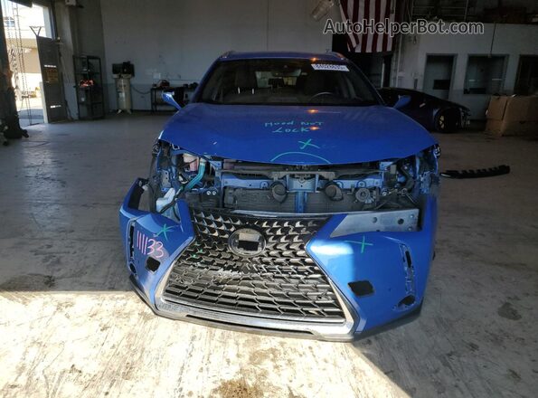 JTHX6JBHXP2157702 2023 LEXUS UX Синий Вид спереди
