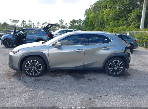 JTHX9JBH6M2039066 2021 LEXUS UX 250H Gray 