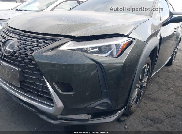 JTHX9JBH8M2043538 2021 LEXUS UX 250H Green 