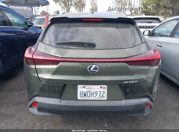JTHX9JBH8M2043538 2021 LEXUS UX 250H Green 