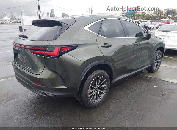 JTJADCAZ1N2000735 2022 LEXUS NX 250 Green Задня права чверть