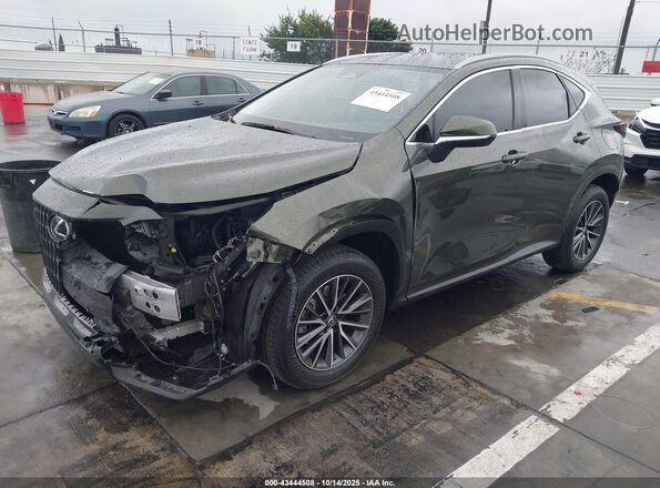 JTJADCAZ1N2000735 2022 LEXUS NX 250 Green Передня ліва чверть