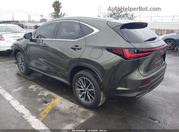 JTJADCAZ1N2000735 2022 LEXUS NX 250 Green Задня ліва чверть