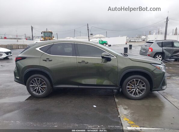JTJADCAZ1N2000735 2022 LEXUS NX 250 Green Вид задньої частини салону