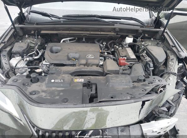 JTJADCAZ1N2000735 2022 LEXUS NX 250 Green Вид ззаду