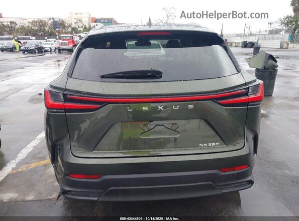 JTJADCAZ1N2000735 2022 LEXUS NX 250 Green 