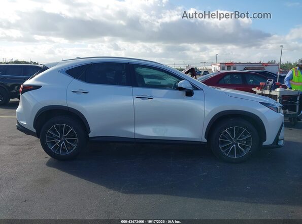 JTJADCAZ1P5010540 2023 LEXUS NX 250 Белый Вид задней части салона