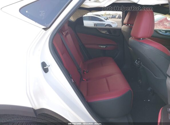 JTJADCAZ1P5010540 2023 LEXUS NX 250 Белый Вид наклейки с VIN-кодом