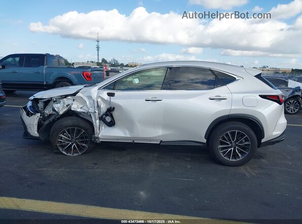 JTJADCAZ1P5010540 2023 LEXUS NX 250 Белый Панорамный вид салона 360°