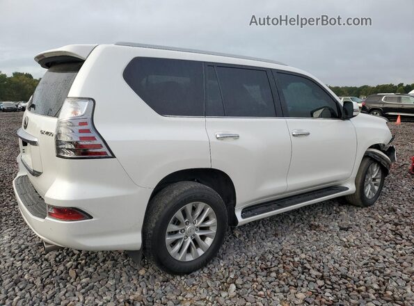 JTJAM7BX1P5353434 2023 LEXUS GX Белый Задняя правая четверть