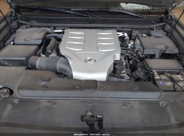 JTJAM7BX4M5302604 2021 LEXUS GX 460 Серый Вид сзади