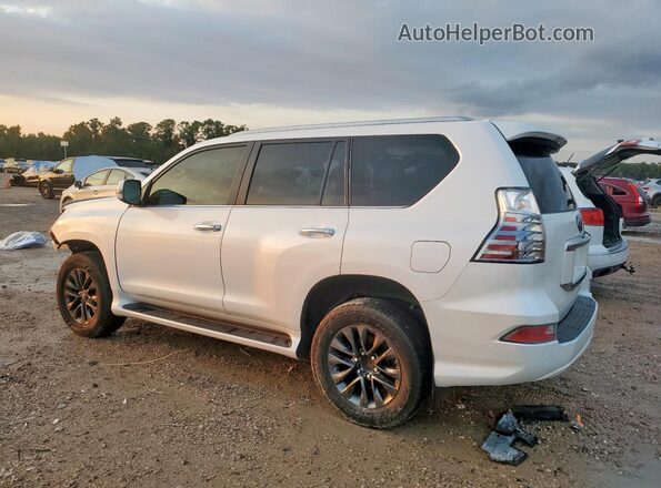 JTJAM7BX5P5347717 2023 LEXUS GX White Հետևի ձախ