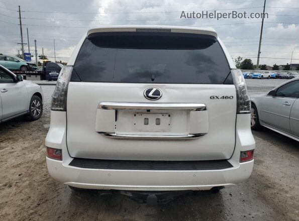 JTJAM7BX8P5355827 2023 LEXUS GX White Widok z tyłu
