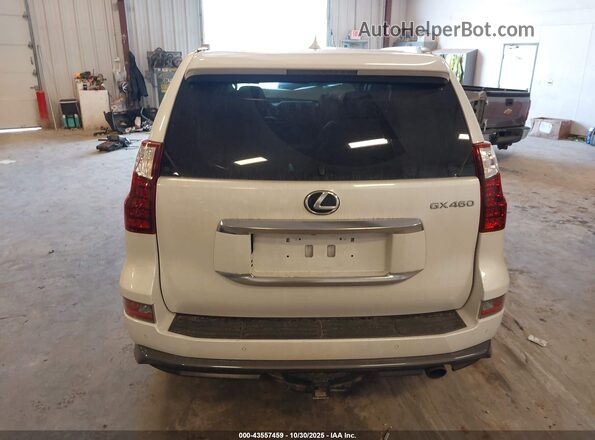 JTJAM7BX9M5300296 2021 LEXUS GX 460 Белый 