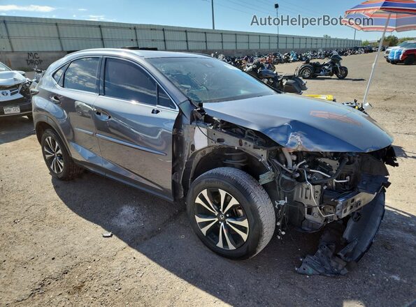 JTJBARBZ5J2149142 2018 LEXUS NX Угольный 