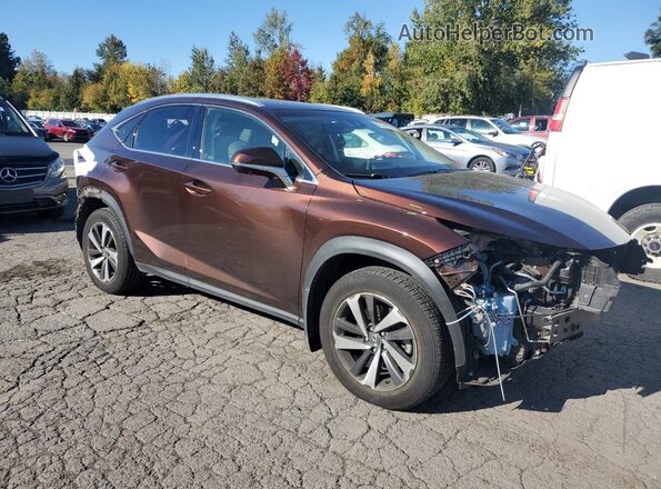 JTJBARBZ7K2201520 2019 LEXUS NX Коричневый Передняя правая четверть