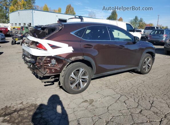 JTJBARBZ7K2201520 2019 LEXUS NX Коричневый Задняя правая четверть