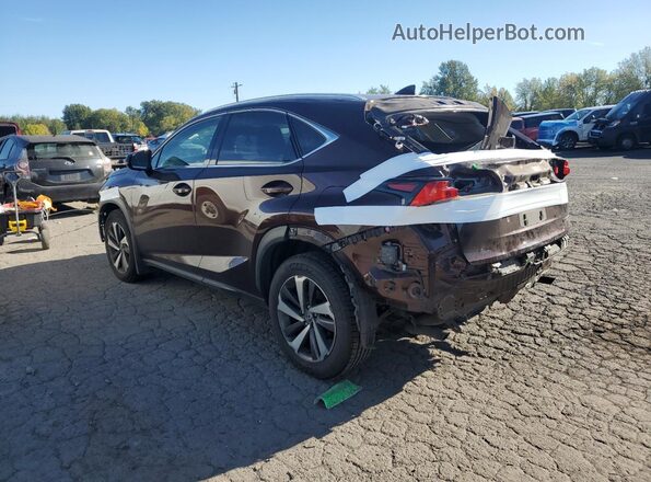 JTJBARBZ7K2201520 2019 LEXUS NX Коричневый Задняя левая четверть