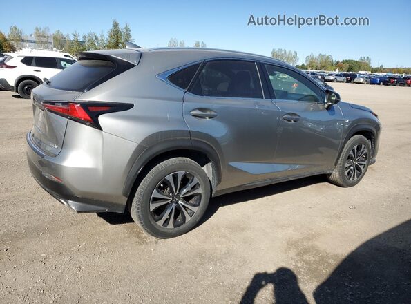 JTJBARBZ8K2210114 2019 LEXUS NX Gray Tył prawy
