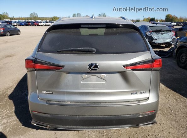 JTJBARBZ8K2210114 2019 LEXUS NX Gray Widok z tyłu