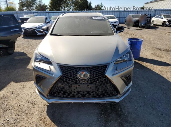 JTJBARBZ8K2210114 2019 LEXUS NX Gray Widok z przodu