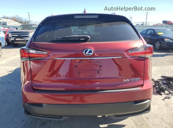 JTJBJRBZ0G2041312 2016 LEXUS NX Red Widok z tyłu