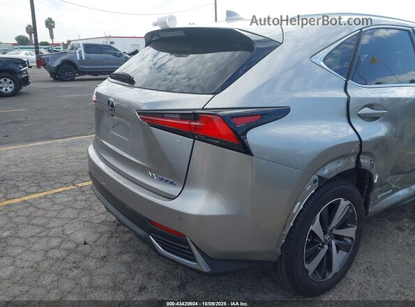 JTJBJRBZ3K2116433 2019 LEXUS NX 300H Champagne Հետևի աջ