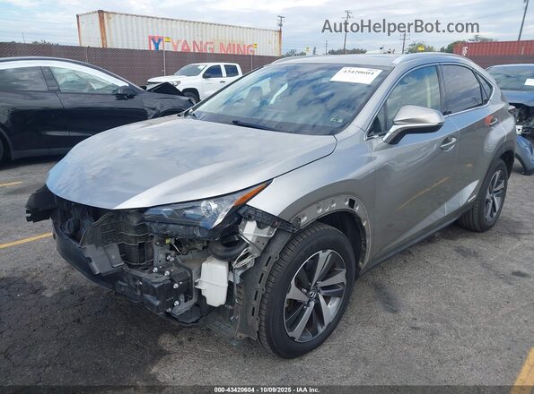 JTJBJRBZ3K2116433 2019 LEXUS NX 300H Champagne Առջևի ձախ երեք քառորդ տեսարան