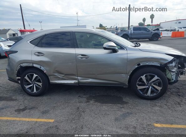 JTJBJRBZ3K2116433 2019 LEXUS NX 300H Champagne Սալոնի 360 աստիճան տեսք