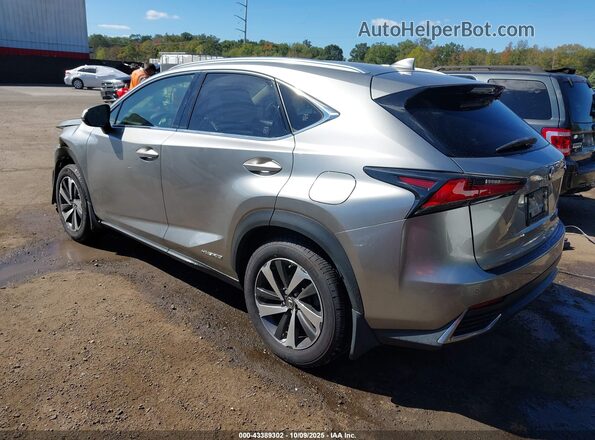 JTJBJRBZ4J2085661 2018 LEXUS NX 300H Gray Tył lewy