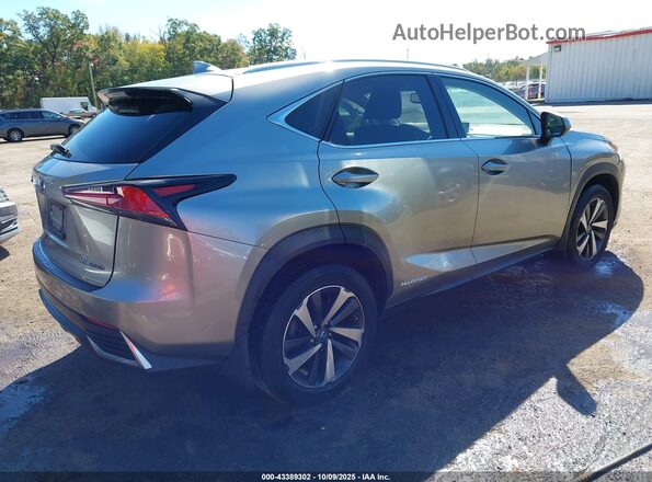 JTJBJRBZ4J2085661 2018 LEXUS NX 300H Gray Tył prawy