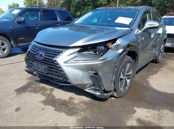JTJBJRBZ4J2085661 2018 LEXUS NX 300H Gray Widok z przodu