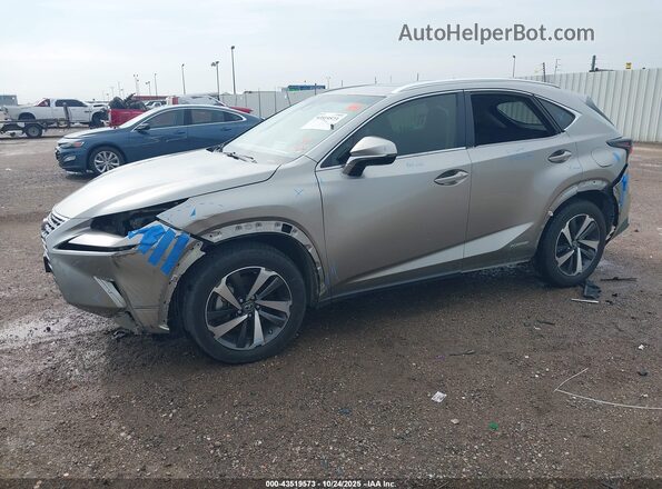 JTJBJRBZ9K2115299 2019 LEXUS NX 300H Silver Передня ліва чверть