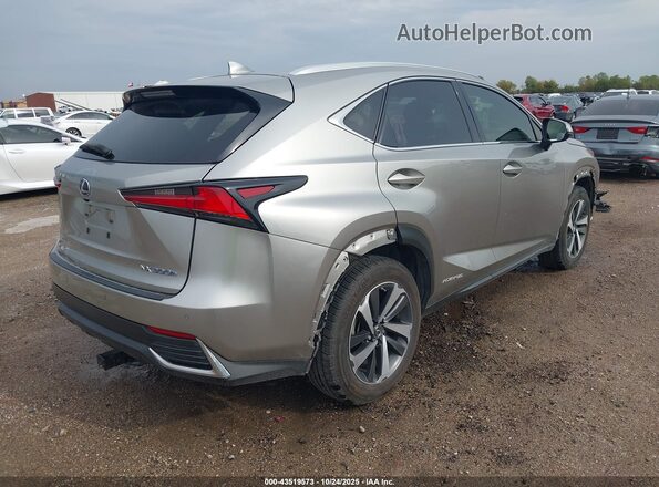JTJBJRBZ9K2115299 2019 LEXUS NX 300H Silver Задня права чверть