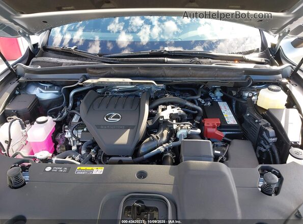JTJCHMAA2S2027712 2025 LEXUS RX 350 Gray Widok z tyłu