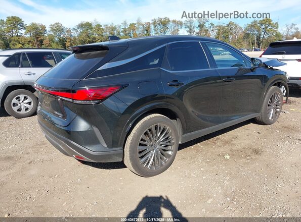 JTJCJMGA5S2027179 2025 LEXUS RX 450H+ Black Tył prawy