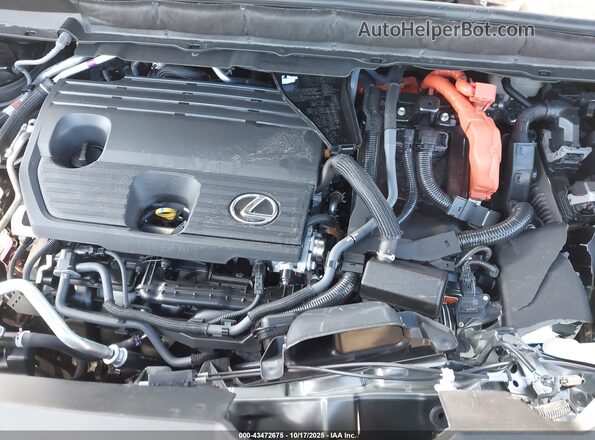JTJCJMGA5S2027179 2025 LEXUS RX 450H+ Black Widok z tyłu