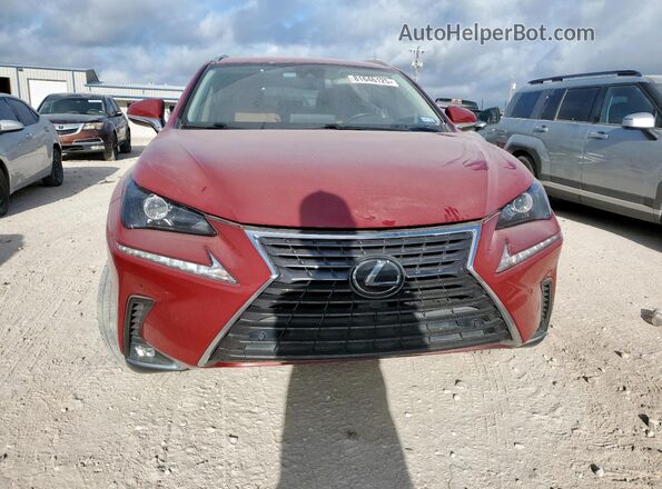 JTJDARBZ1M2178859 2021 LEXUS NX Red Դիմացի տեսք