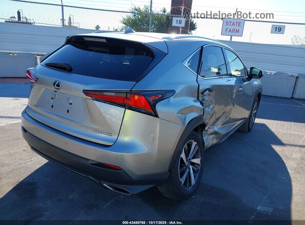 JTJDARBZ3L2163617 2020 LEXUS NX 300 Silver Trasero derecho