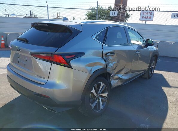 JTJDARBZ3L2163617 2020 LEXUS NX 300 Silver Vista frontal