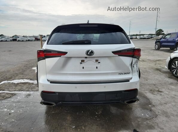 JTJDARBZ3L5011853 2020 LEXUS NX White Вид ззаду