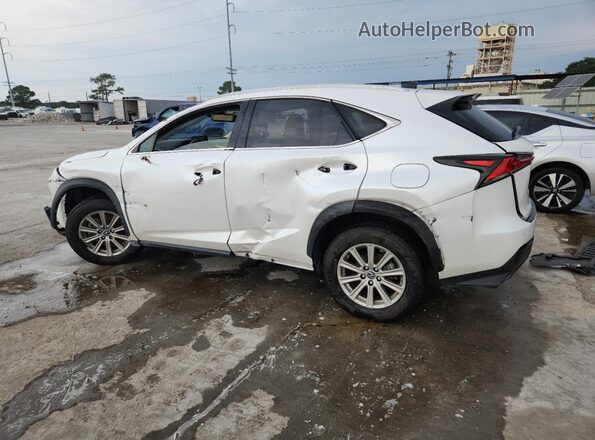 JTJDARBZ3L5011853 2020 LEXUS NX White Задня ліва чверть