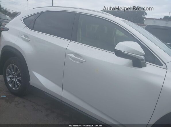 JTJDARBZ3M5031571 2021 LEXUS NX 300 White Vista interior trasera