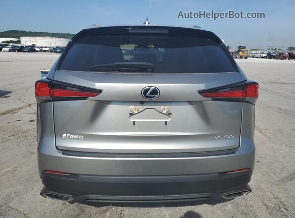 JTJDARBZ4M2179648 2021 LEXUS NX Silver Հետևի տեսք