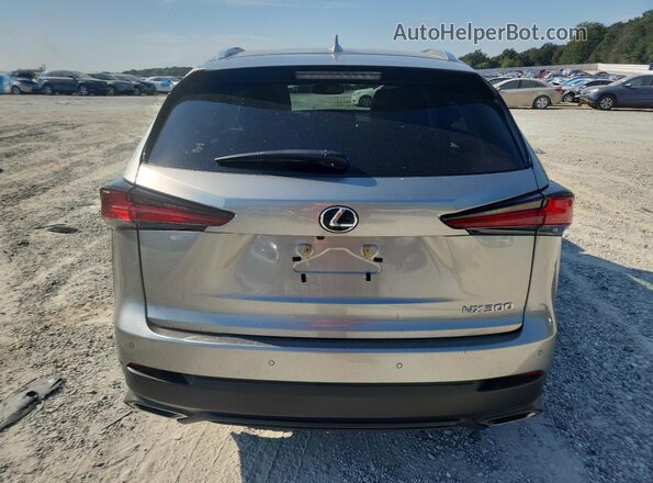 JTJDARBZ4M2190777 2021 LEXUS NX Gray Вид ззаду