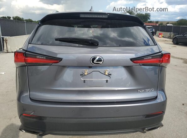 JTJDARBZ5M2185135 2021 LEXUS NX Gray Вид ззаду