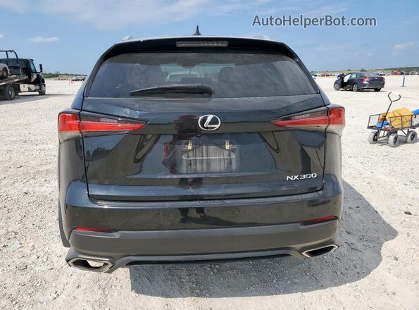 JTJDARBZ5M2195213 2021 LEXUS NX Black Rear view