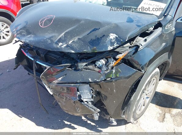 JTJDARBZXL2172265 2020 LEXUS NX 300 Black Vista frontal